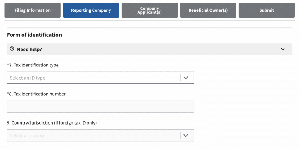 Screenshot of BOIR online filing where you provide information on the Reporting Company.