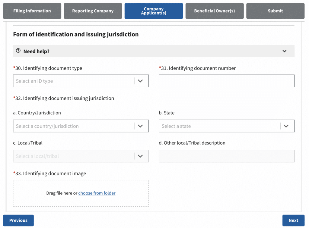 Screenshot of BOIR online filing where you provide information on the Company Applicant(s).