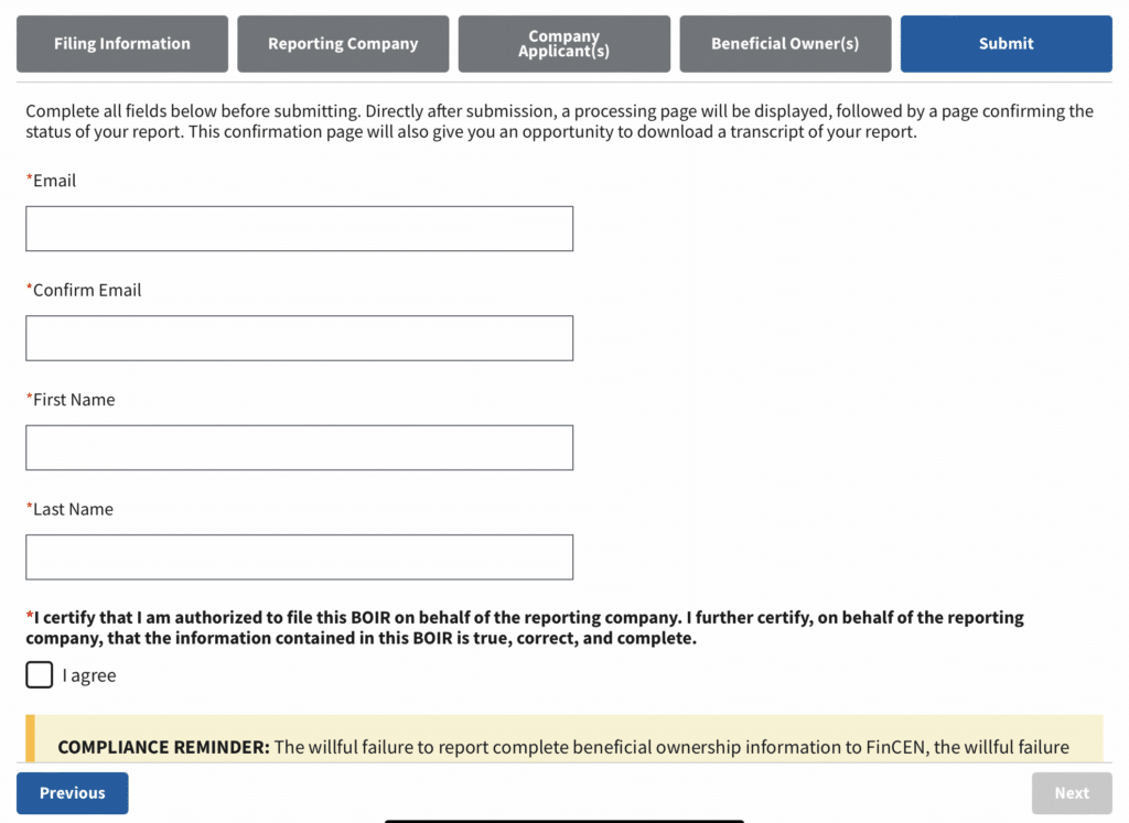 Screenshot of BOIR online filing where you submit your filing.